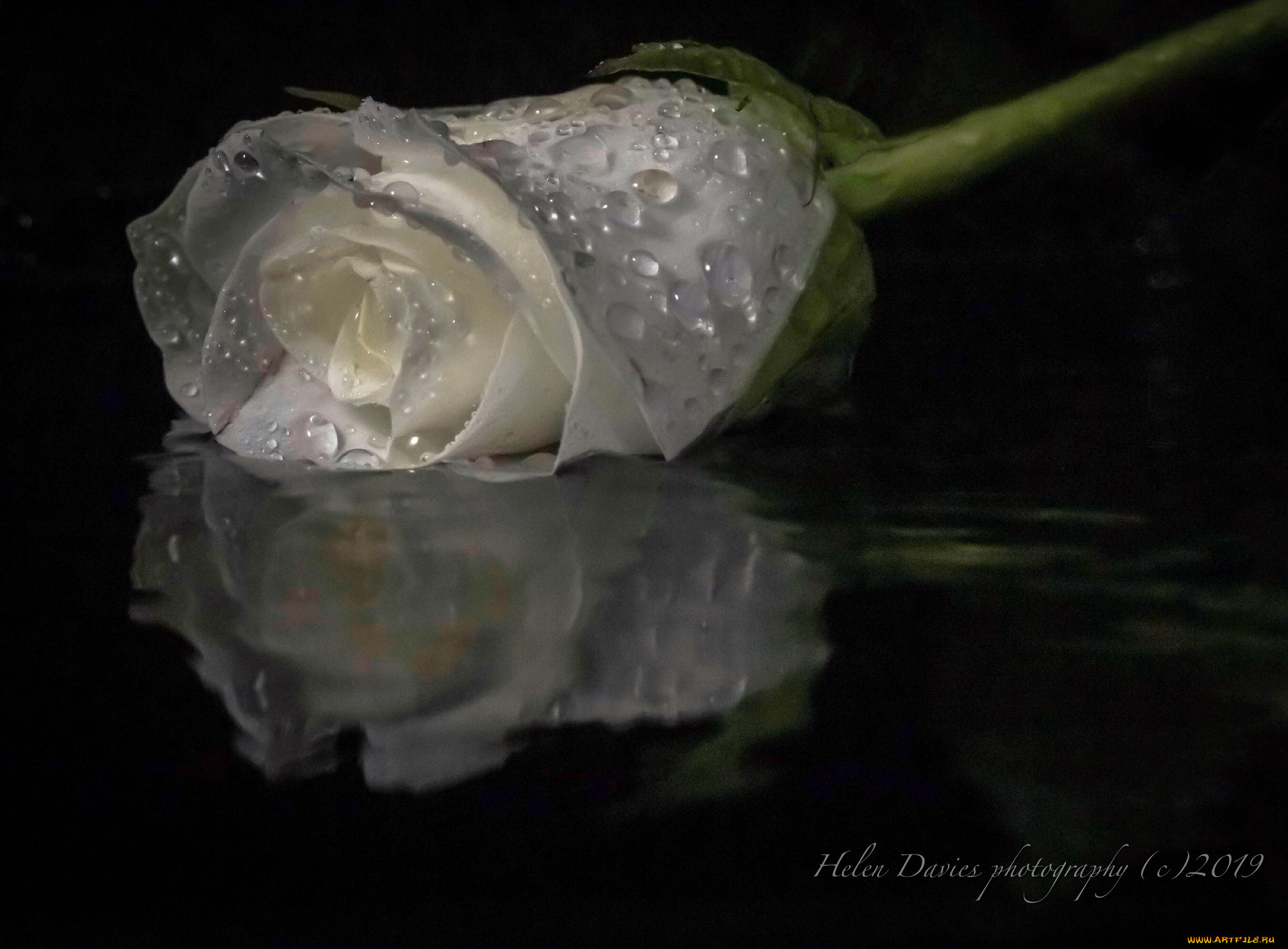 helen davies, , , 